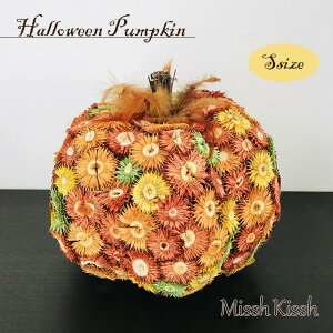 ynEBN[|ΏۏizIuWF CeA nEB hCt[pvL STCY Halloween Pumpkin  CeA   Mtg v[g