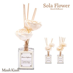 y}\2{EeN[|z [hfBt[U[ \t[  { A}  ݑ v[g Mtg ̓ ̓