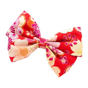 y}\2{EeN[|z { Nbv a  l ܎O Ǝ w  wAANZT[ 񂴂  a̒X{Nbv   䂩 a a 