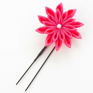 y}\2{EeN[|z { ܂ݍ׍H Us a  l ܎O Ǝ w  wAANZT[ 񂴂  e e ܂ݍ׍HUs     wAX