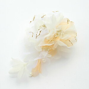 RT[W tH[}  QXg Ǝ  w  VtHƃybṽRT[W  ؂₩ 炵 zCg sN x[W ̓