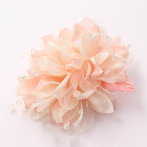 RT[W u[` tH[}  QXg Ǝ  w  p[r[Y΂߂RT[W  {[ _ Ԃт  Ӊ l  zCg s