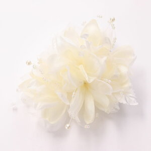 yő|Cg10{ zRT[W u[` tH[}  QXg Ǝ  w  p[r[Y΂߂RT[W  {[ _ Ԃт  Ӊ l