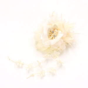  Nbv a  l ܎O Ǝ w  wAANZT[ 񂴂  ht1֘aRT[W   ԉ䂩  Ԃя q LbY 