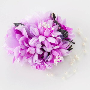 y}\2{EeN[|z Nbv p[ a  l ܎O Ǝ w  wAANZT[ 񂴂  p[[v̘aRT[W   䂩 ԉ