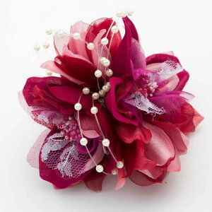 RT[W tH[}  QXg Ǝ  w  p[؂₩2ւ̃tF~jRT[W  p[    Nbv я l ܎O  x[W p[