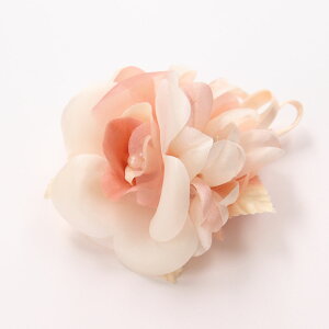 yő|Cg10{ zRT[W u[` Ǝ  w   tH[} QXg WOf[V p[⃊{    l ܎O wAANZT