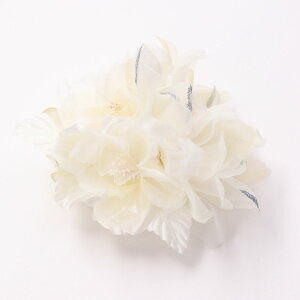 yő|Cg10{ zRT[W u[` tH[}  QXg Ǝ  w  I[KW[Ղ̂ӂRT[W    Nbv я l 