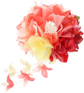 ������ �N���b�v �a�� ���� ���l�� ���܎O ���Ǝ� ���w�� �� �w�A�A�N�Z�T���[ ���񂴂� ������ �_���A�Ɖ�����̘a���N���b�v �� �� �R�T�[�W�� �K���� �� �䂩�� ���� �т��Ԃ̔����� ���Z 