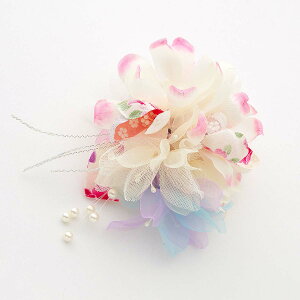  Nbv p[ a  l ܎O Ǝ w  wAANZT[ 񂴂  `[ƃp[̂ӂaNbv   RT[W K  䂩   