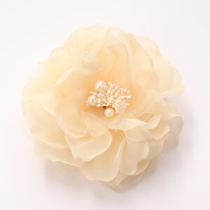 RT[W tH[}  QXg Ǝ  w  VtḦփRT[W  ^ p[ ANZg I[KW[ `[  p[eB[ 񎟉 Ӊ l