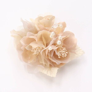 yő|Cg10{ zRT[W u[` tH[}  QXg Ǝ  w  I[KW[  p[ r[Y Ӊ p[eB[ 񎟉 l zCg sN x[