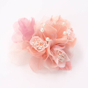 yő|Cg10{ zRT[W u[` tH[}  QXg Ǝ  w  I[KW[  p[ r[Y Ӊ p[eB[ 񎟉 l zCg sN x[