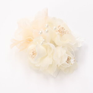 yő|Cg10{ zRT[W u[` tH[}  QXg Ǝ  w  I[KW[  p[ r[Y Ӊ p[eB[ 񎟉 l zCg sN x[