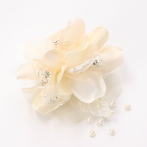 yő|Cg10{ zRT[W u[` tH[}  QXg Ǝ  w  I[KW[ X^CbV  p[ Ӊ p[eB[ 񎟉 l zCg s