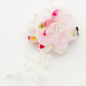  Nbv a  l ܎O Ǝ w  wAANZT[ 񂴂  炩2ւ̂ԂƉ̘aNbv   RT[W K  䂩   