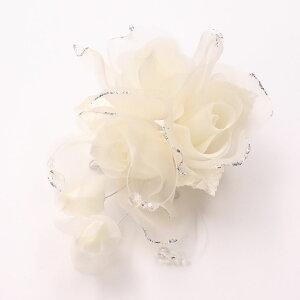 yő|Cg10{ zRT[W u[` { tH[}  QXg Ǝ  w  3փoƂڂ݂̃RT[W  KXr[Y L wANbv wAANZ