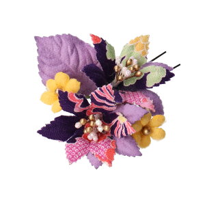  Us { ߂񐶒n2֘aUs  l ܎O 񂴂  l qǂ Z ȒP y