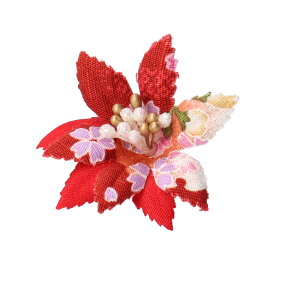 yX[p[Z[|Cgő10{z Nbv Usa  l ܎O Ǝ w  wAANZT[ 񂴂  ߂񐶒n1֘aUs   䂩 a 