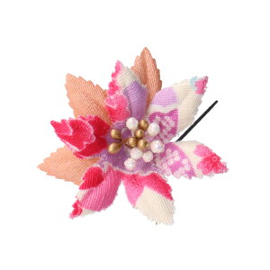 y}\2{EeN[|z Nbv Usa  l ܎O Ǝ w  wAANZT[ 񂴂  ߂񐶒n1֘aUs   䂩 a  p