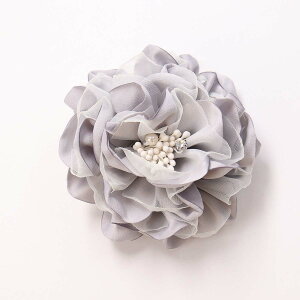 RT[W ݃J[ u[`  Ǝ w p[ t[  p[eBhX  QXg tH[} fB[X ܎O