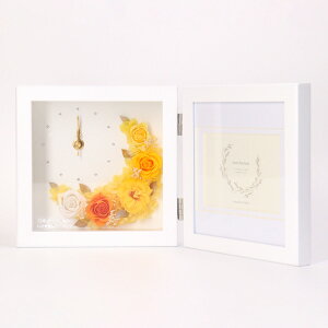 yő|Cg10{ z tHgt[ 蕨 ʐ^ uU[uht[ t[ NZg[ Ƒ Fl  LO j a ̓ ̓ zj