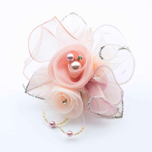 yő|Cg10{ z{ RT[Wu[` Ǝ  w   tH[}QXg I[KW[̊oRT[W  p[ VN r[Y Ӊ p[eB[ 