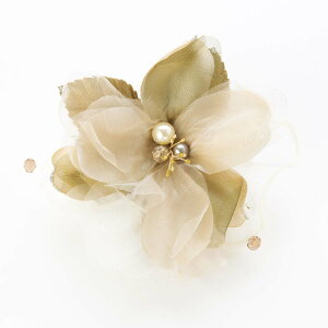 yő|Cg10{ zRT[W u[` { tH[}  QXg Ǝ  w  I[KW[݂̂RT[W  wANbvt  zCg sN x