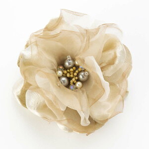 yő|Cg10{ zRT[W u[` { tH[}  QXg Ǝ  w  ӂJ[Ԃт1փRT[W  wANbvt  AC{[ s