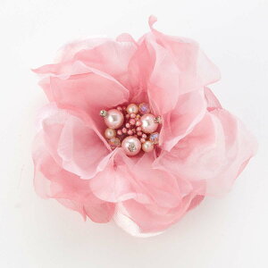 yő|Cg10{ zRT[W u[` { tH[}  QXg Ǝ  w  ӂJ[Ԃт1փRT[W  wANbvt  AC{[ s