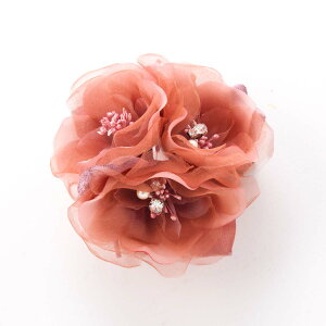 RT[W u[` { Ǝ  w   tH[} QXg llZu 3փRT[W  Nbvt p[eB[    Nbv я  