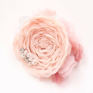 yő|Cg10{ zRT[W { tH[}  QXg Ǝ  w  VtH̊oRT[W  D o ItzCg ubN sN ̓