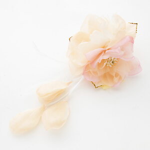 yő|Cg10{ zRT[W u[` { Ǝ  w   tH[} QXg ԂтƉHӂ艺2փRT[W  p[eB[ Ӊ l 