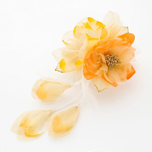 RT[W u[` { Ǝ  w   tH[} QXg ԂтƉHӂ艺2փRT[W  p[eB[ Ӊ l  \ Itz