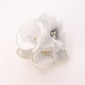 RT[W { 3փRT[W  u[`  Ǝ w p[ t[  p[eBhX  QXg tH[} ܎O