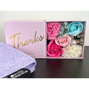  oXtOX  nh^I Thanks {bNX bZ[W  \[vt[ t[AW j[N 킢  v[g Mtg ̓ ̓ j