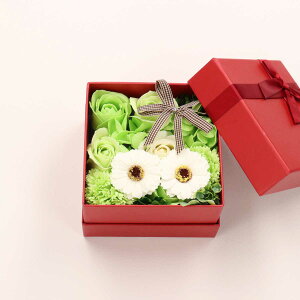  tOX{bNXAW oXtOX  [Y Mtg t[\[v Bath Fragrance t[AW v[g Mtg ̓