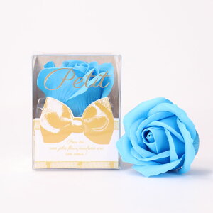  oXtOX Ԃ̌`̓ v`  \[vt[ t[AW j[N 킢  v[g Mtg ̓ ̓ j