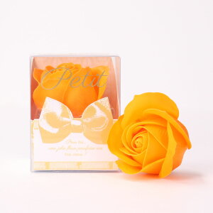  oXtOX Ԃ̌`̓ v`  \[vt[ t[AW j[N 킢  v[g Mtg ̓ ̓ j