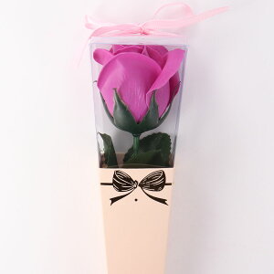  oXtOX ~jP[ Ԃ̌`̓ ~jP[u[P  \[vt[ t[AW j[N 킢  v[g Mtg ̓ ̓ j