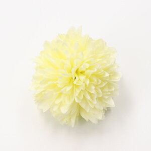  Nbv  }  a l ܎O wAANZT[  {[}̃Nbv  6.5cm    ԉΑ 䂩 Ԃ  fB[X qǂ q LbY Z 