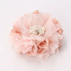 yő|Cg10{ zRT[W u[`  QXg Ǝ  w  tH[} lC ~bNXfނ̃_ART[W  p[Ԃ   wAANZ