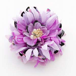 y}\2{EeN[|z Nbv a  l ܎O Ǝ w  wAANZT[ 񂴂  a_ÃRT[W 䂩  я  sN 