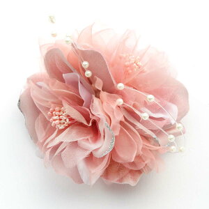 RT[W u[` Ǝ  w   tH[} QXg p[΂߂I[KW[2փRT[W    Nbv ItzCg sN C lC