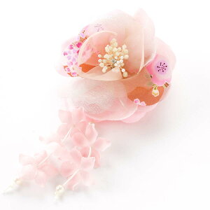 y}\2{EeN[|z Nbv a  l ܎O Ǝ w  wAANZT[ 񂴂  ӂۂԂ̘aNbv   RT[W K  