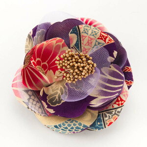  Nbv a  l ܎O Ǝ w  wAANZT[ 񂴂  ảԕق؂₩ȈփNbv   RT[W  K  䂩   Ԃ