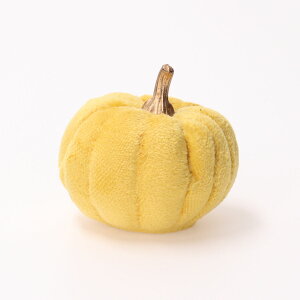 ynEBN[|ΏۏiznEB  ڂ STCY  CeA t@ubN pvL ڂ IuWF Halloween 킢 u   X G Mtg v[g