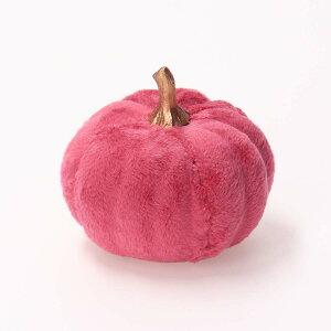 y}\Gg[ōő10{zynEBN[|ΏۏiznEB  ڂ MTCY  CeA t@ubN pvL ڂ IuWF Halloween 킢 u 