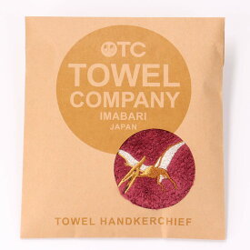 今治タオル タオルハンカチ ミニタオル 恐竜 ダイナソー かわいい キッズタオル TOWEL COMPANY