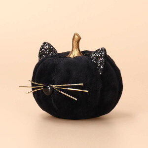 y}\2{EeN[|znEB CeA u G lRڂ pvL 9cm ubN zCg t Iׂ2F p[eB[  fBXvC Be  Mtg v